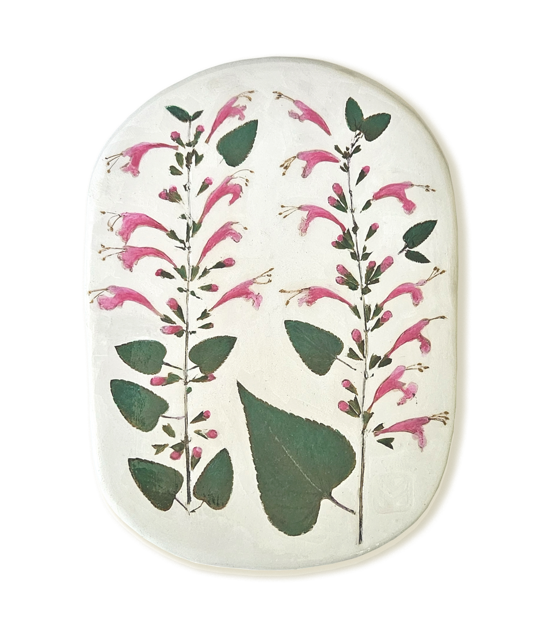 black-currant-sage