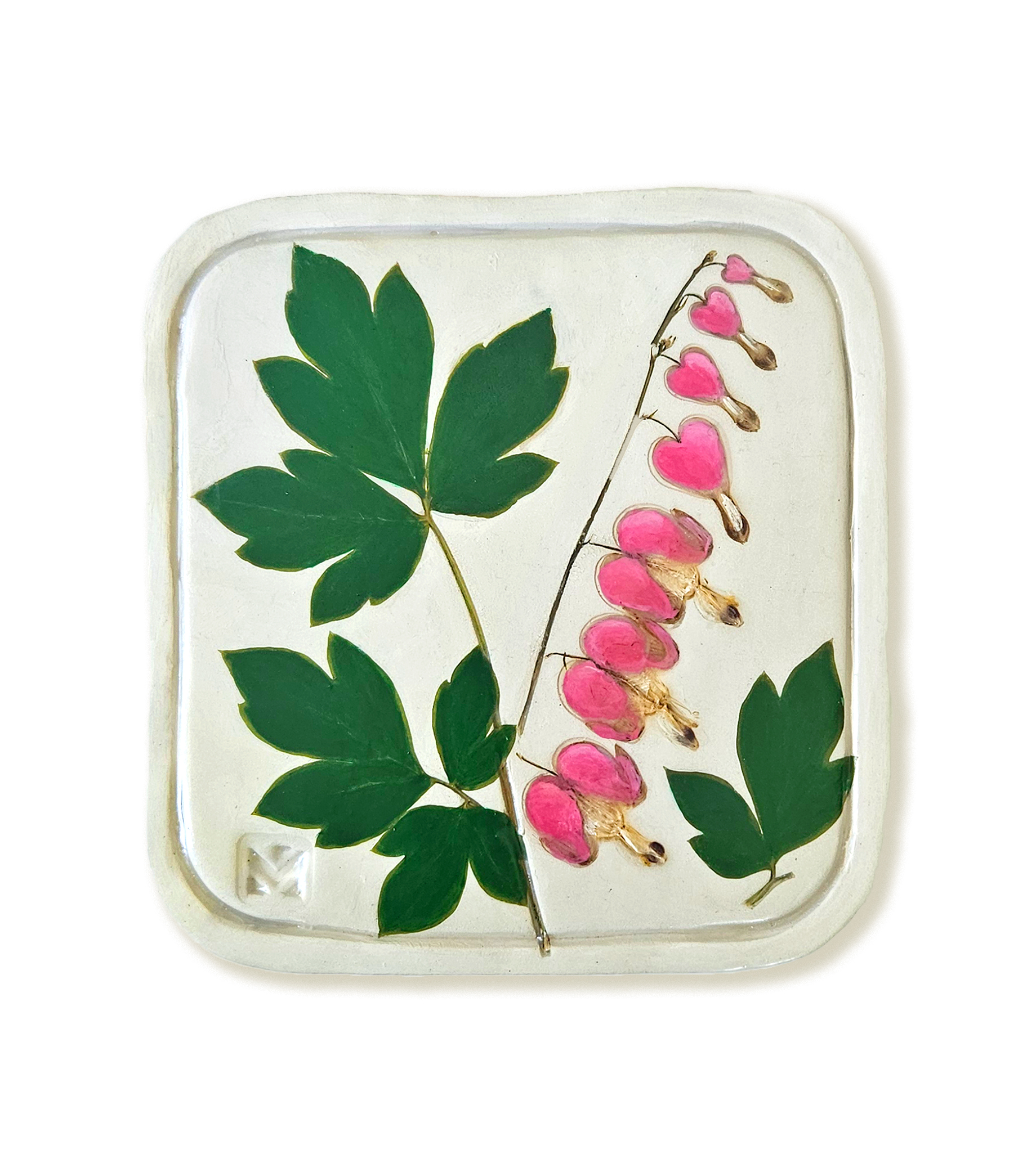 bleeding-heart-1