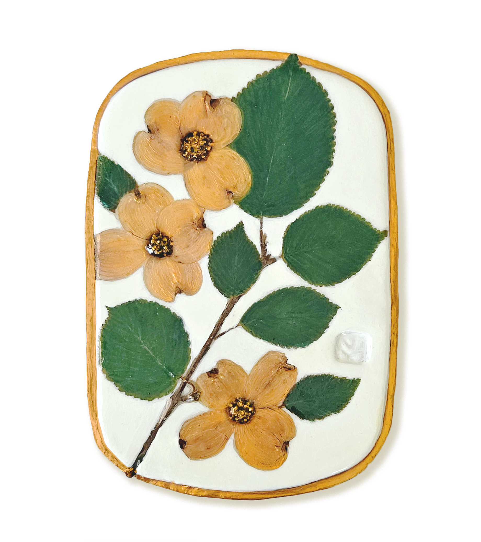 dogwood-1