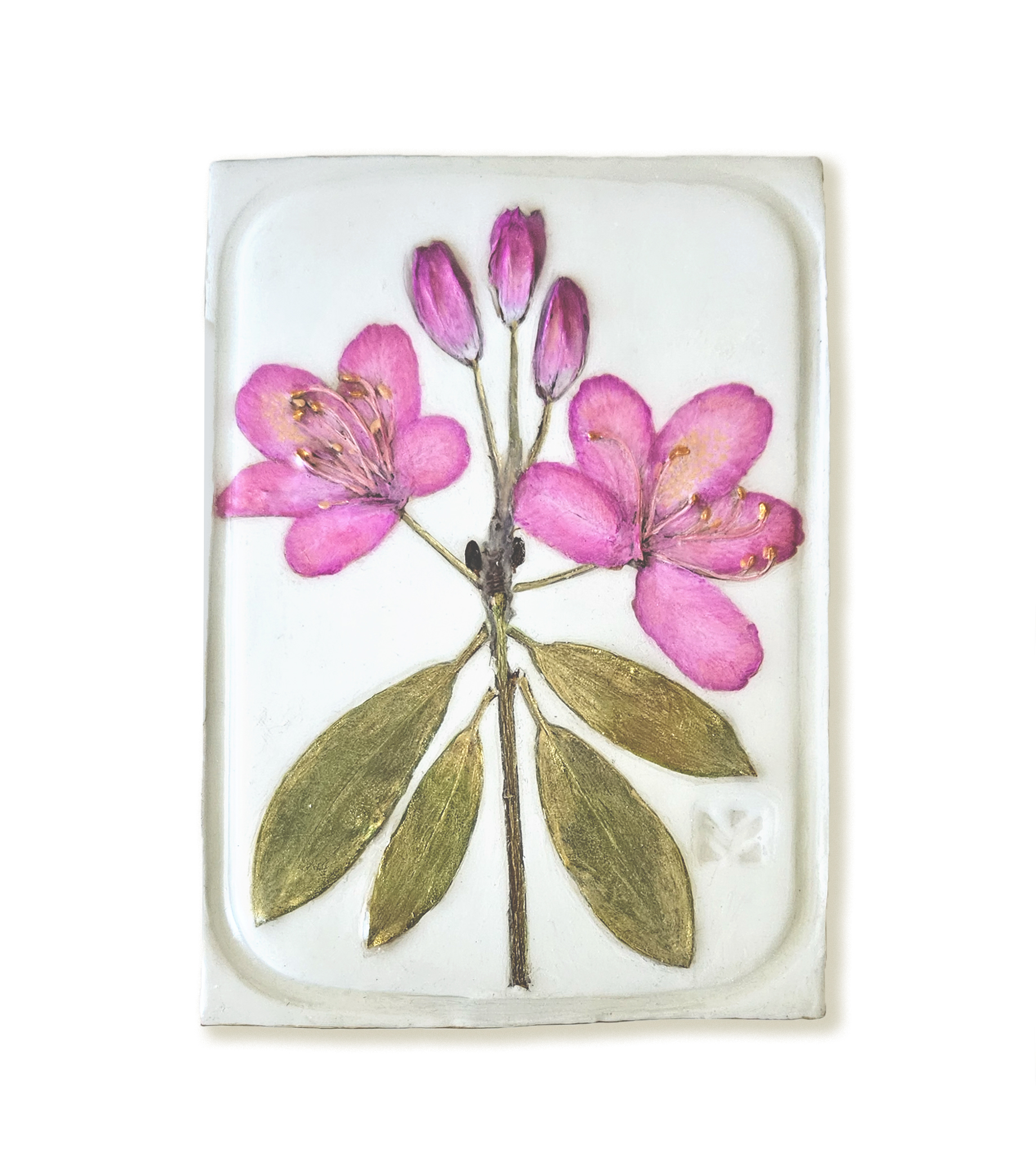 rosebay-rhododendron-1