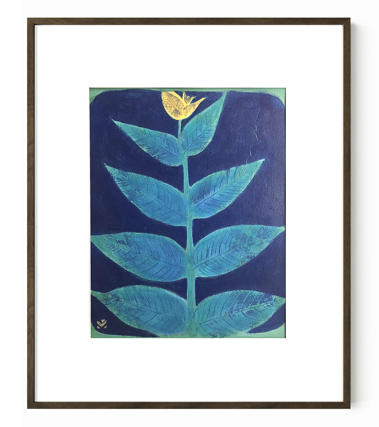 sky-rocke-floret